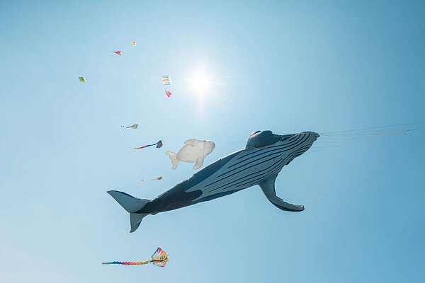 超夯韓劇《非常律師禹英禑》夢幻場景將在竹市重現。圖/新竹市府提供