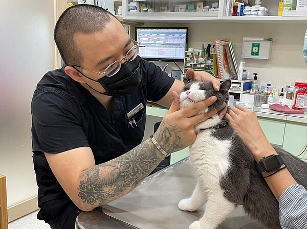 佳諾動物醫院醫師許皓鈞提醒民眾動物用藥品應由獸醫師專業診斷後正確使用，飼主勿擅自上網選購以免觸法。圖 ／台南市政府提供