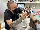 「藥」小心！網售動物用藥品開罰9萬元起