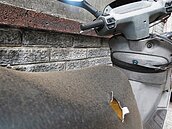 A7工地亂飛塵　天天洗車還是髒