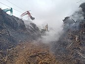 全球木材荒時代！我自給率僅1％　料源短缺、價格看漲