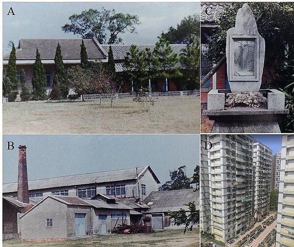 圖左上是茶業改良場林口分場的辦公廳及學生教室全景,左下為民國19年建造的林口分場製茶工廠;右上圖為民國19年建造的陸羽銅像紀念碑,右下為茶改場林口分場舊址,現已興建成林口國宅。圖/取自文化部國家文化記憶庫