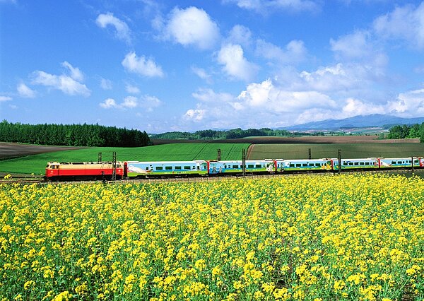 台鐵環島觀光列車附掛3節莒光號自由行車廂讓旅客訂購,為1次、2次環島觀光莒光,車程僅比自強號略慢卻又舒適、便宜,被視為是台鐵CP值最高的對號列車之一,隨著觀光列車合約到期、營運模式調整,未來將走入歷史。圖/易遊網提供