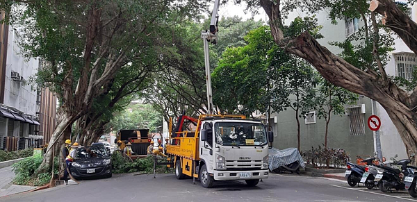 移植老榕樹以維護安全／圖片擷取自精忠幸福站臉書
