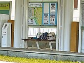 議員質疑輕軌測試未完　市府：是收尾