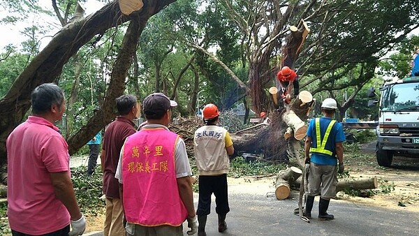 萬年里環保義工團協助處理傾倒路樹。圖片擷取自邱秋芳里長臉書

