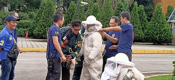 消防隊全副武裝要驅趕虎頭蜂。圖片擷取自邱秋芳里長臉書
