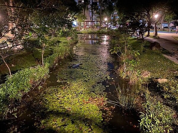 興隆公園生態池。陳宣懿／攝

