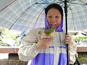 開車被樹砸中！她惦記鸚鵡嚇飛恐沒命　喜劇收場