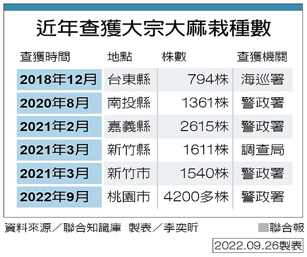 近年查獲大宗大麻栽種數。製表／李奕昕