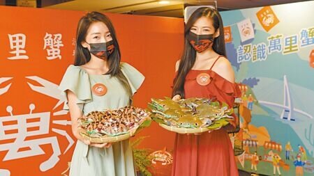 
新北市萬里蟹正值產季豐收期，漁業處邀請富邦悍將啦啦隊「Fubon Angels」拍攝行銷影片。（蔡雯如攝）
