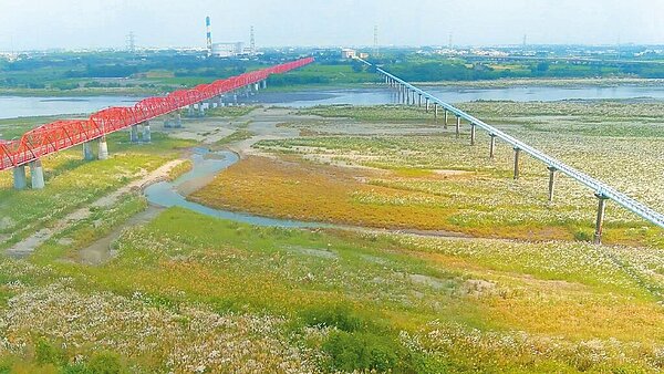 濁水溪西螺大橋旁生態復育良好,讓居民不再「吃飯攪沙」。(雲林縣政府提供/張朝欣雲林傳真)