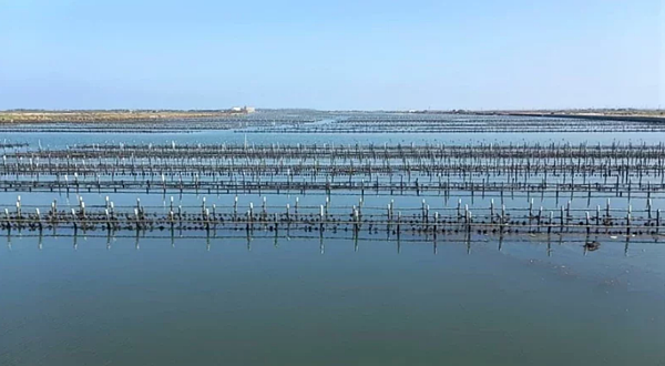台南七股大潮溝業者申設太陽光電板,引發漁民恐慌。圖/七股漁民郭永慶提供