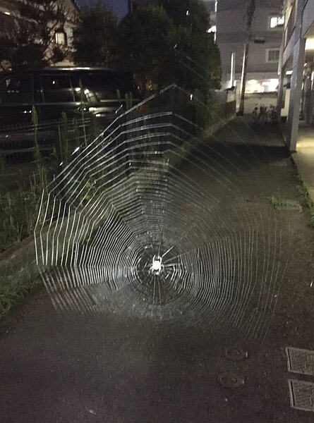 原PO慶幸當時自己有開車頭燈,否則下場恐怕相當不妙。圖/擷自@MPEG31