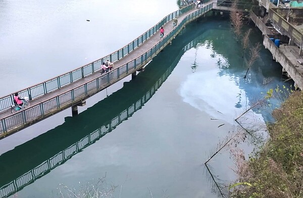 日月潭環湖單車道旁潭區今年2月遭飯店排放廢水汙染，成了牛奶湖。圖／讀者提供
