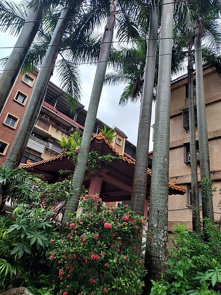 有溫度的山邊住宅。圖／易小滿攝


