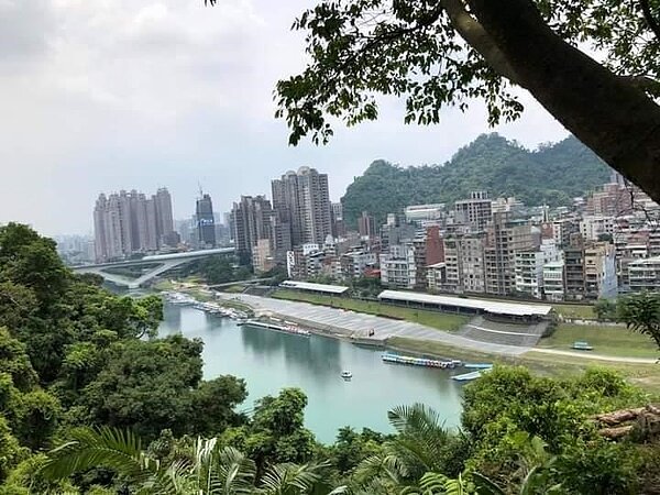 攜手美化家園。圖／易小滿

