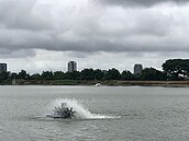 桃大圳5－1號埤塘綠化工程明年完工　串老街溪自行車步道