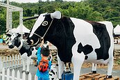 「2022桃園鮮奶節公所主題日」　推廣在地農特產品及食農教育