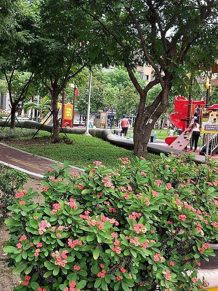 花木扶疏,人影婆娑。圖/易小滿攝