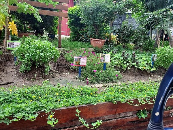 環境競賽得到優越成績。圖/易小滿攝