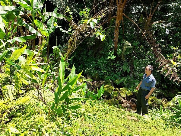 美好的山野,需要大家共同保護。易小滿攝