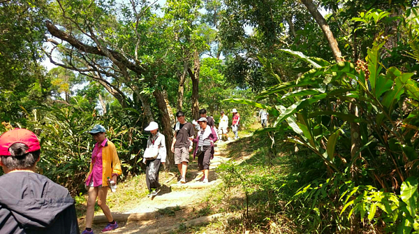 中埔山步道環境清幽且植物豐富，吳融昊里長建議大家有空都可以來走走（圖／吳融昊里長提供）
