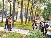 龍德新橋動土　恐又交通黑暗期