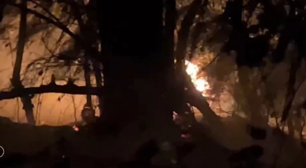 金湖鎮惠民農莊附近道路旁的一棵大樹遭強風吹倒，扯斷電線桿釀火警。圖／讀者提供