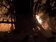 金門暗夜強風不平靜…樹倒電桿斷引火警　394戶停電