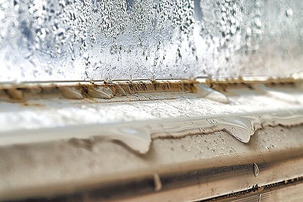 秋冬濕冷,信義居家提供抗濕3大心法。(信義居家提供)