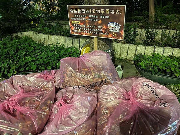 中山里落葉集中處理再利用。圖／陳宣懿攝

