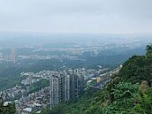 雨彈狂炸！汐止再現淹水問題　房仲曝：10年房價仍漲3成