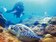 小琉球汙水處理改善　海龜805隻新紀錄