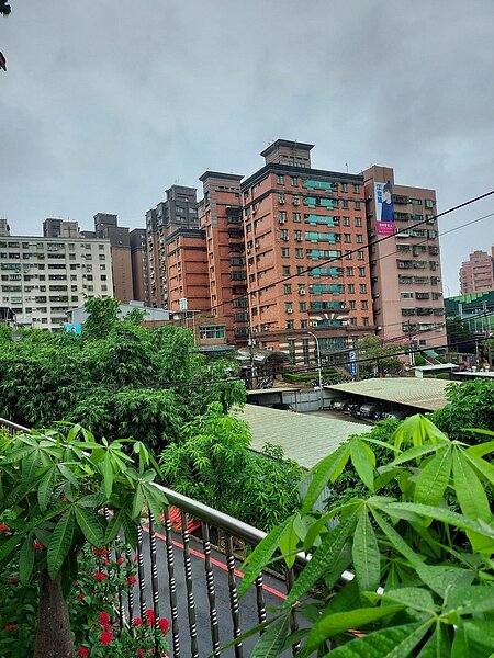 永寧蛻變成長進步。圖/易小滿攝