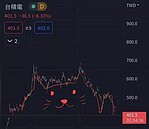 台積電慘跌想安慰朋友？傳貓貓走勢圖　網苦笑：跌的真可愛