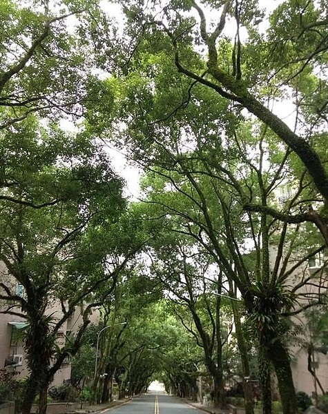 熟齡圓夢好所在。圖／易小滿攝


