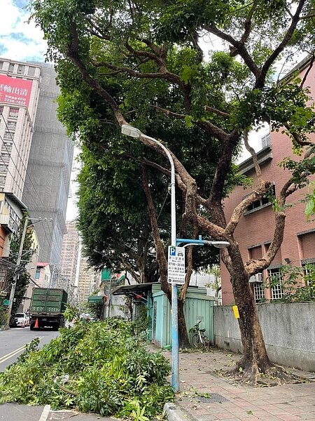 修剪路樹維持環境整潔。圖／取自「純翠里」臉書專頁