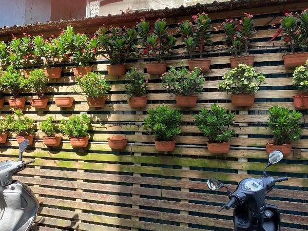板橋區華中里傳統市場街道綠化牆。圖／廖詠琦攝

