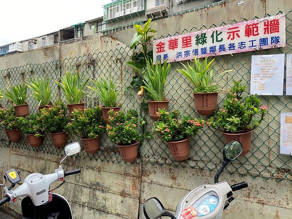 金華里綠化示範牆。圖／廖詠琦攝

