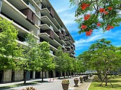 鄉林士林官邸轉型　爭取醫療新創產業進駐