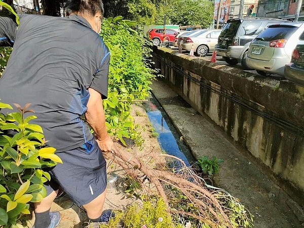 陳里長巡視里區發現溝渠遭樹木堵塞，利用工具親自將樹木排除。