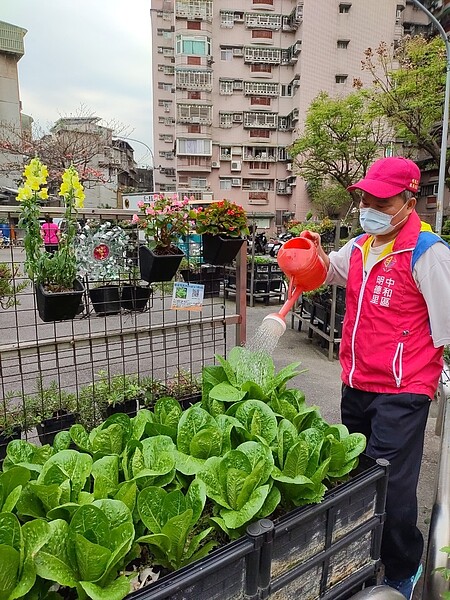 有機蔬菜在里民細心呵護下成長茁壯。除了有機蔬菜外，網架上也種植觀賞花卉，美化社區環境。圖／侯鈞瀚提供