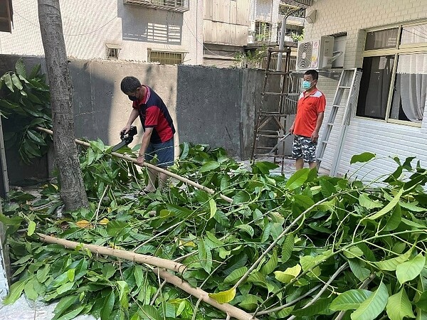 守望相助隊協助修剪大樹。圖／取自「王保利」粉絲專頁