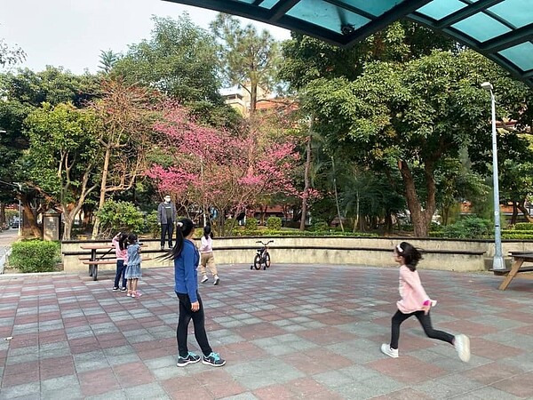 中正里民眾在櫻花季到公園遊玩。圖／取自「松山樂生活 X 有你有我」臉書
