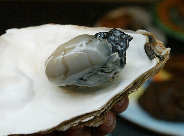 中部40多歲女性因吃了生蝦、生蚵，大拉肚子五天。示意圖。圖／聯合報資料照片