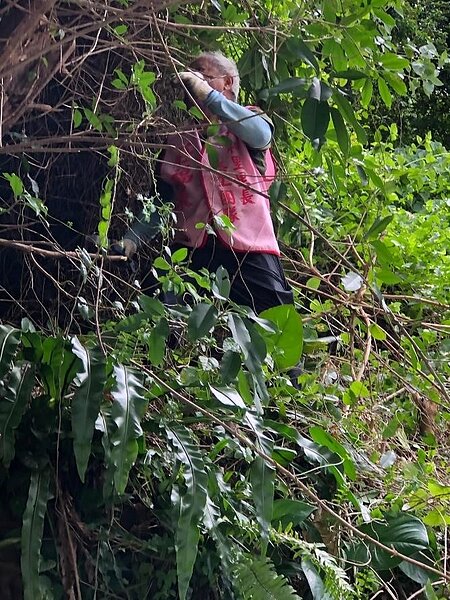 天和里的環保志工們辛勤地維護里區環境。圖／取自莊福來（天和里里長）臉書粉絲專頁