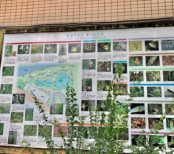 圖文並茂的生態簡介圖讓人更認識園內的生態。圖／攝自周希雯

