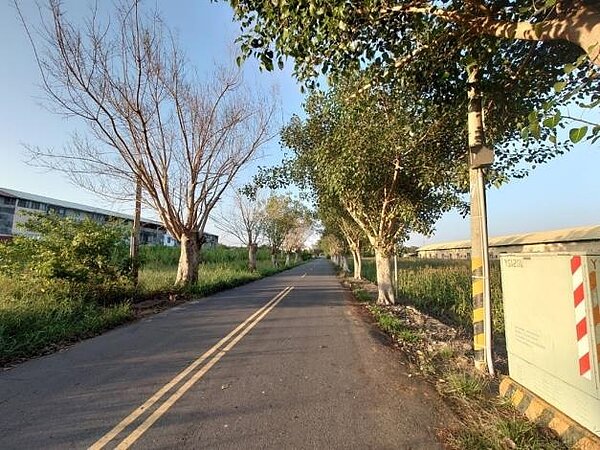 台南市鹽水岸內糖廠影視基地聯外道路。圖/南市府提供