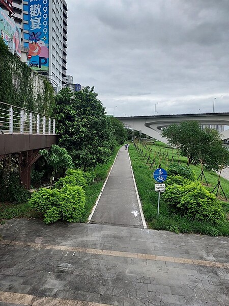 勞動專責單位救大樹。圖／易小滿攝 

